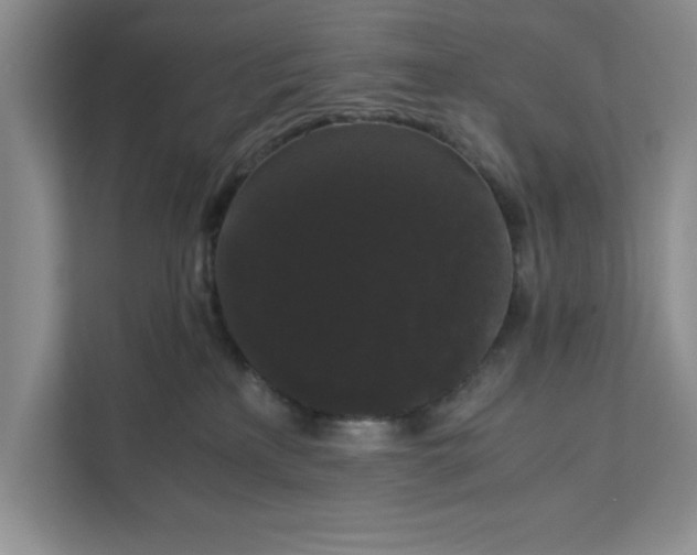 X0000111880233200908061320