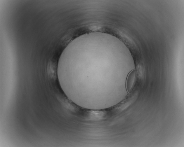 X0000111880234200908061320