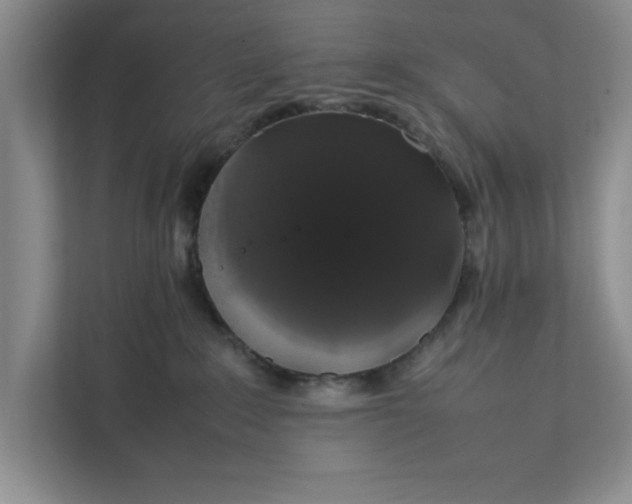 X0000111880235200908061320