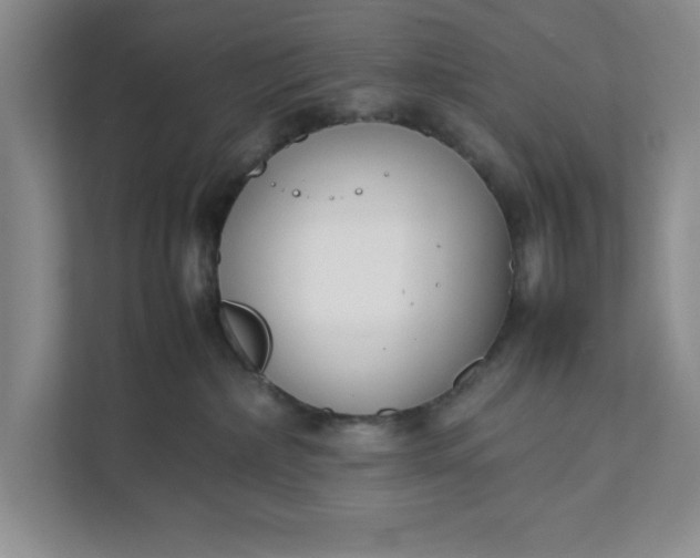 X0000111880236200908061320