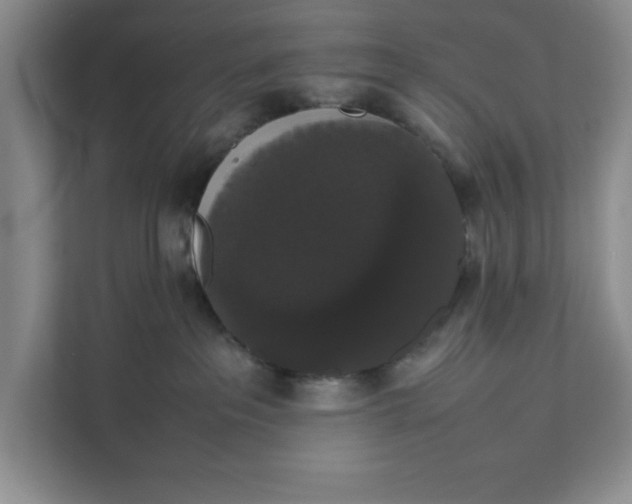 X0000111880237200908061320