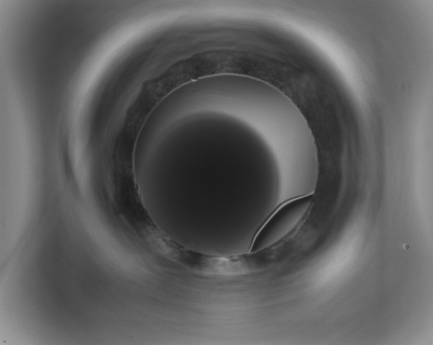 X0000111880239200908061320