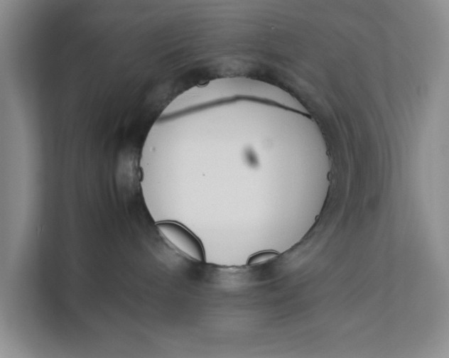 X0000111880240200908061320