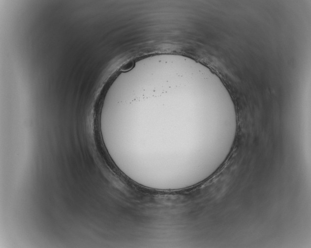 X0000111880242200908061319