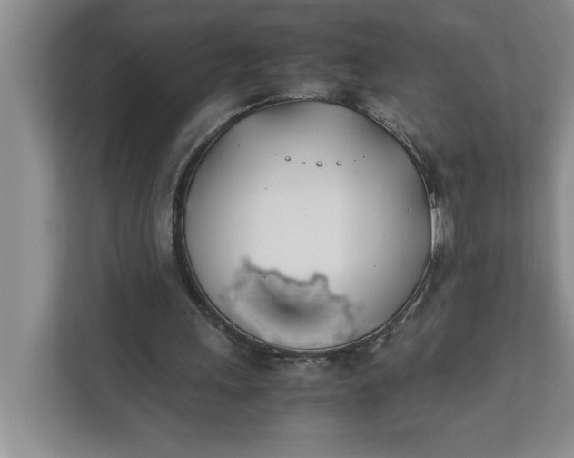 X0000111880243200908061319