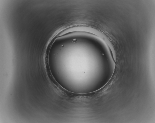 X0000111880244200908061319