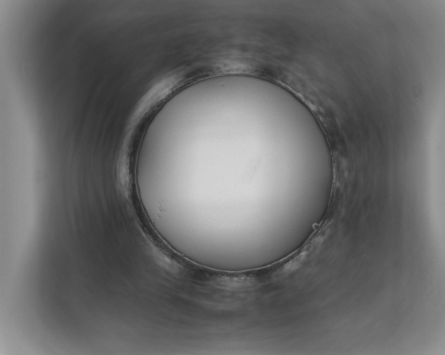 X0000111880245200908061319