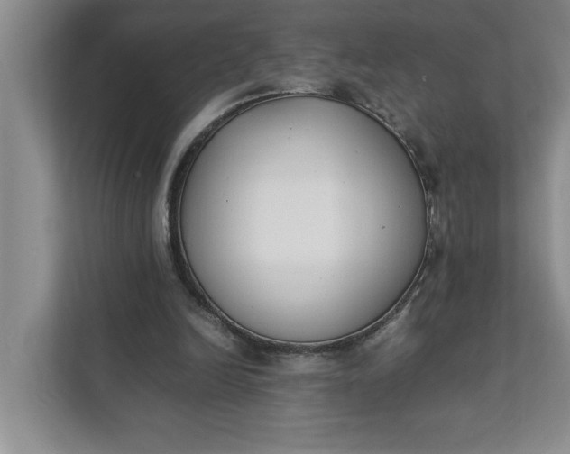 X0000111880246200908061319