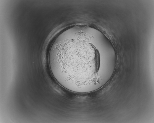 X0000111880247200908061319