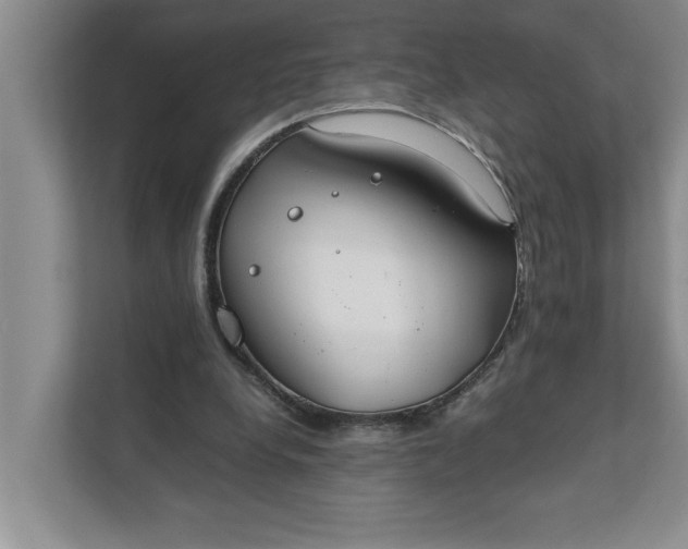 X0000111880248200908061319