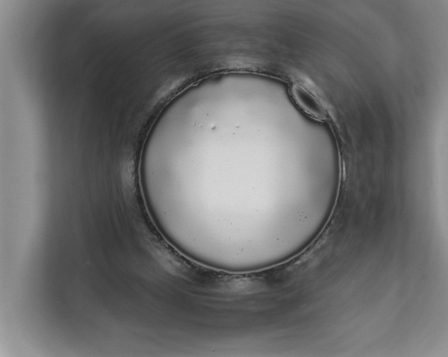 X0000111880249200908061319