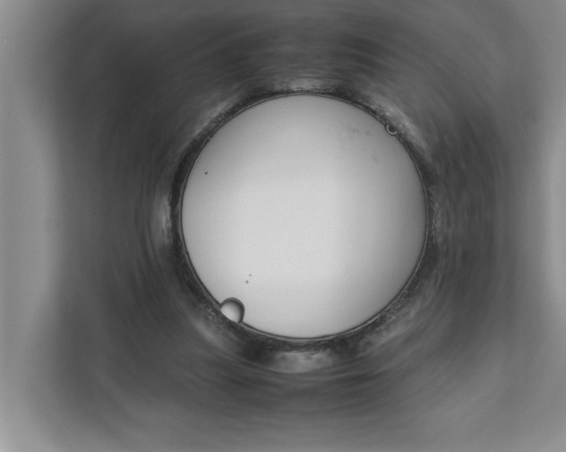 X0000111880251200908061319