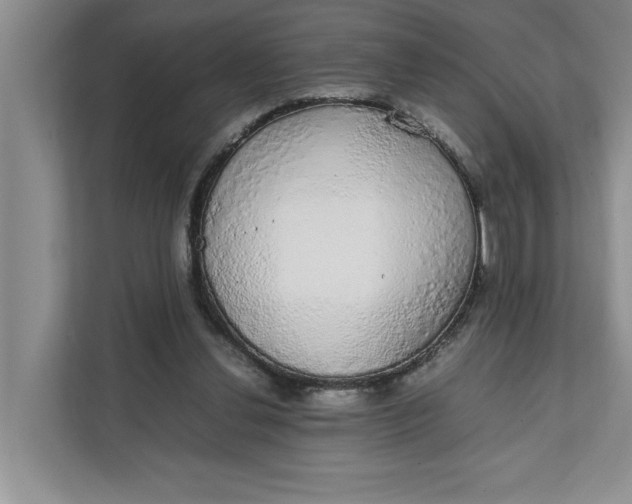 X0000111880252200908061319