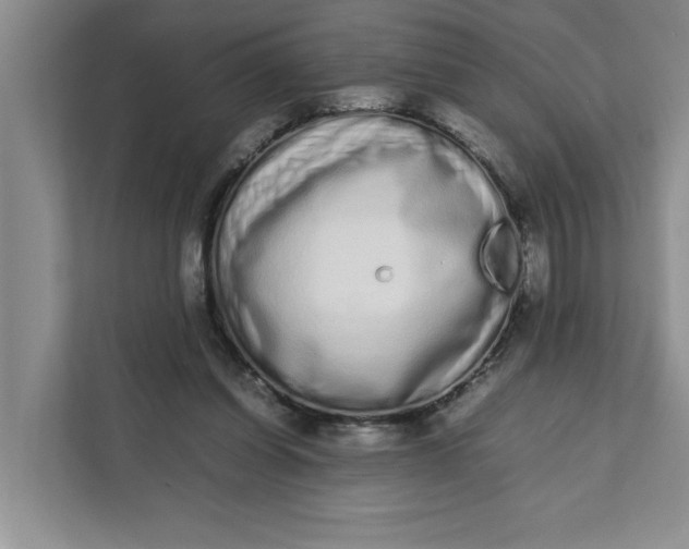 X0000111880254200908061319