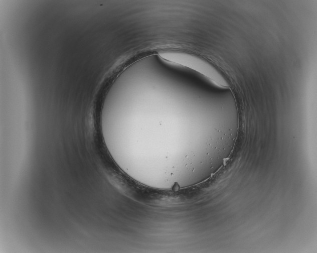 X0000111880256200908061320