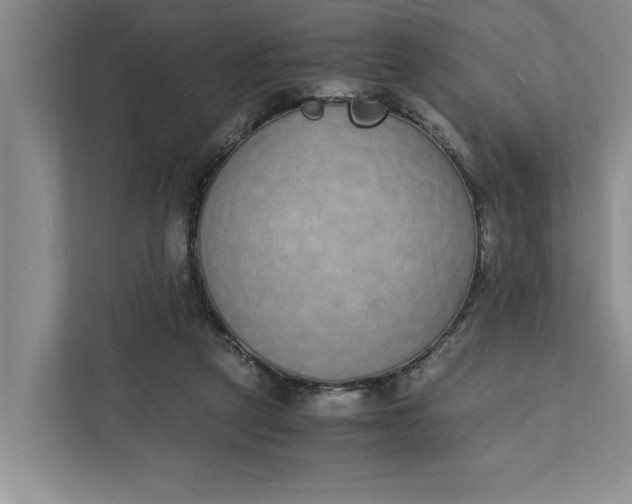 X0000111880257200908061320