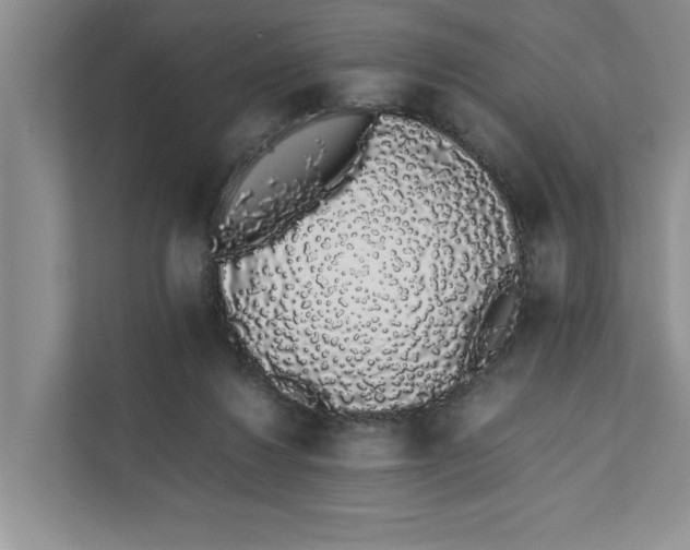 X0000111880260200908061320