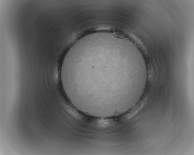 X0000111880261200908061320