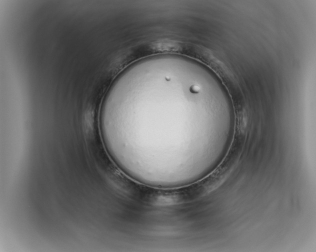 X0000111880263200908061320