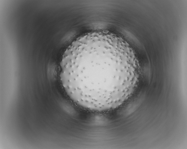 X0000111880264200908061320