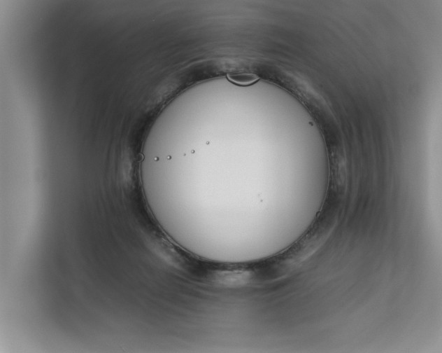 X0000111880266200908061320