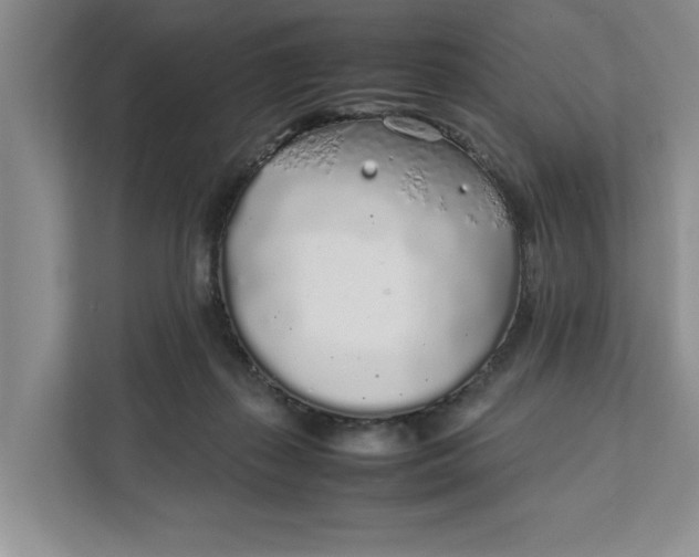 X0000111880267200908061320