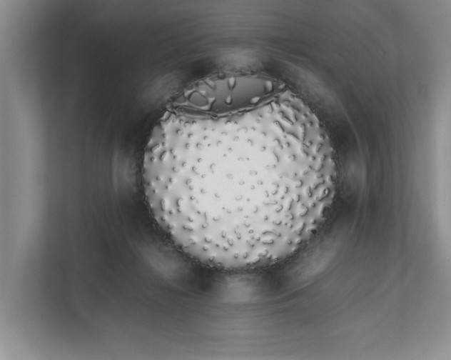 X0000111880268200908061320