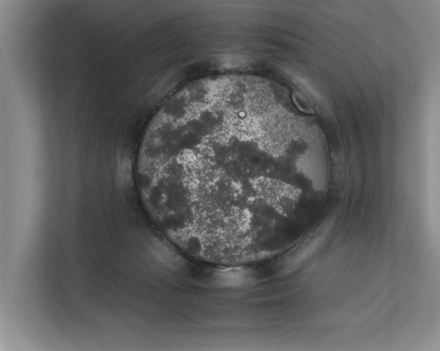 X0000111880269200908061320