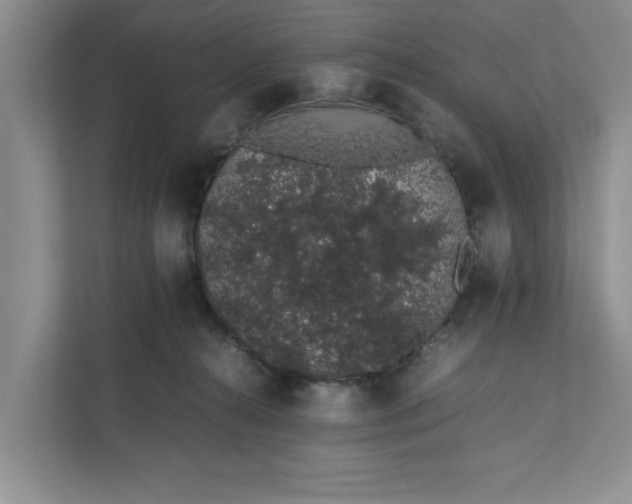 X0000111880272200908061320