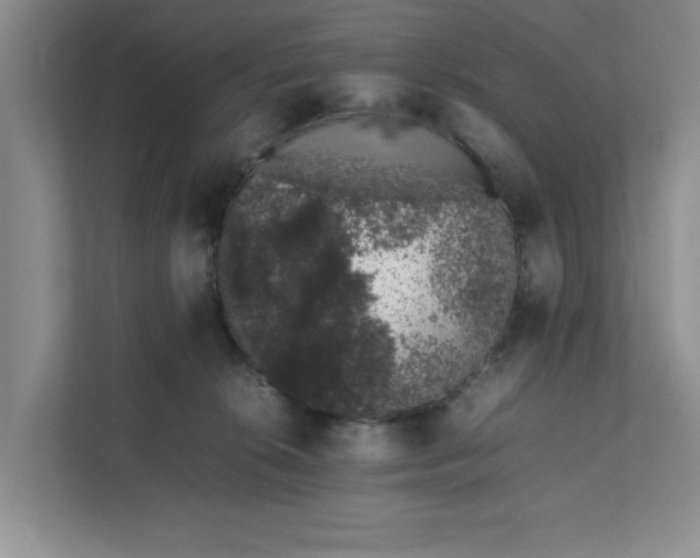 X0000111880276200908061320