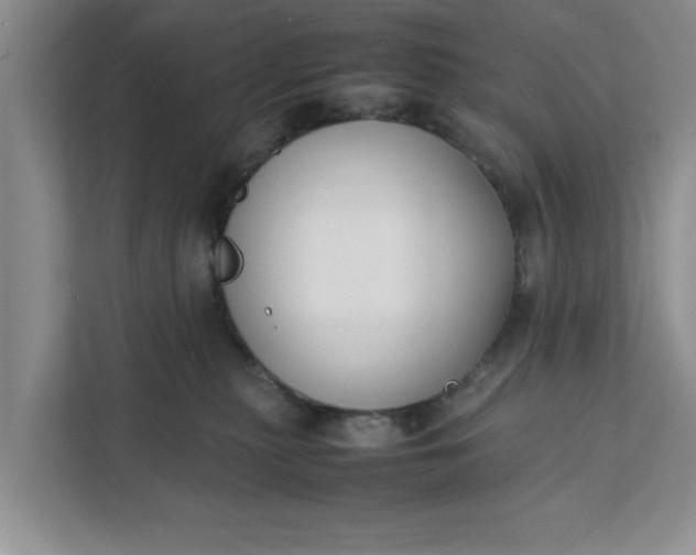 X0000111880279200908061320