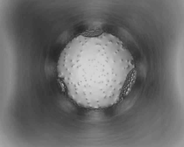 X0000111880280200908061320