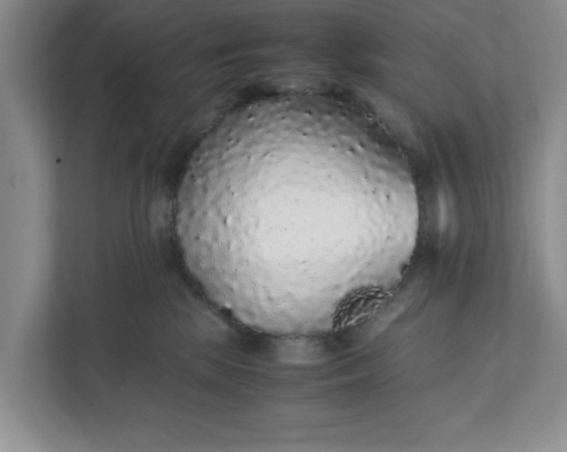 X0000111880281200908061320