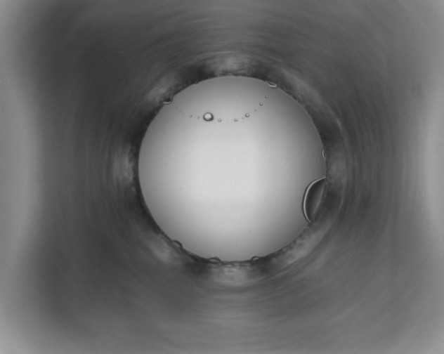 X0000111880282200908061320