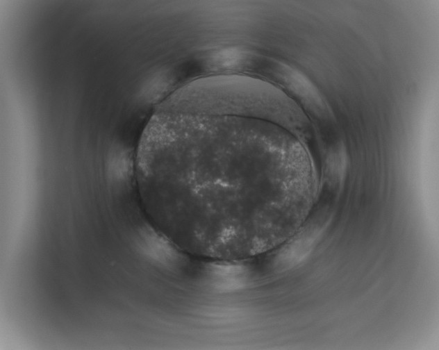 X0000111880284200908061320