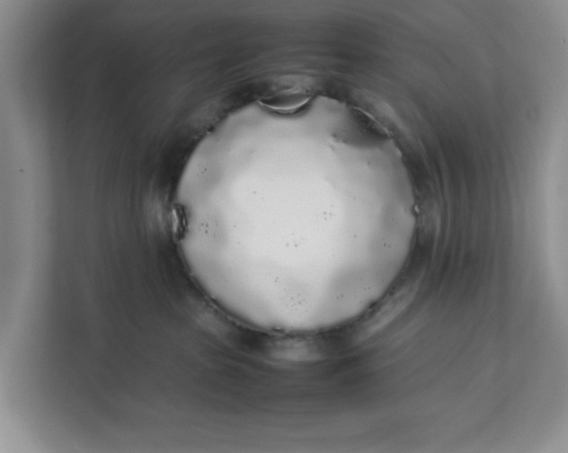 X0000111880285200908061320