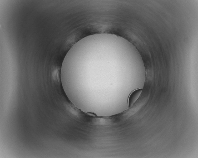 X0000111880286200908061320