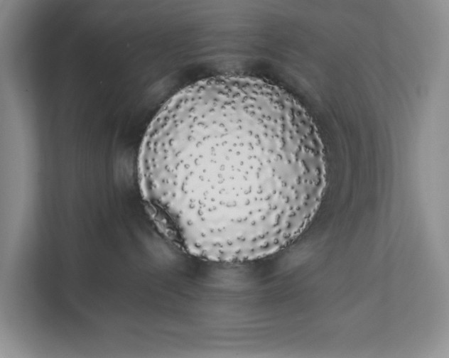 X0000111880288200908061320