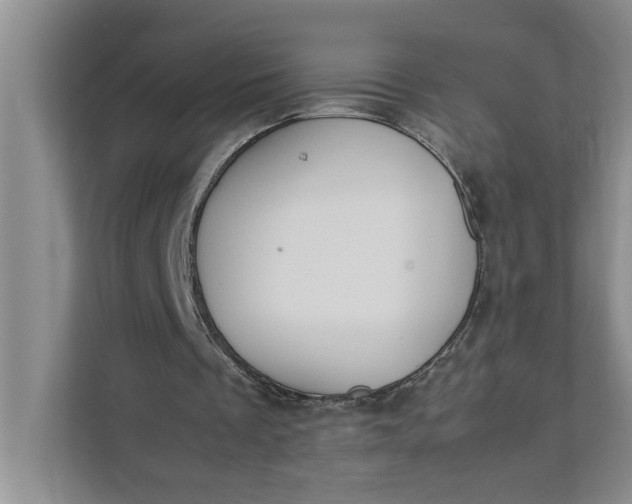 X0000111880289200908061319