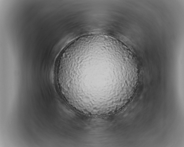 X0000111880290200908061319