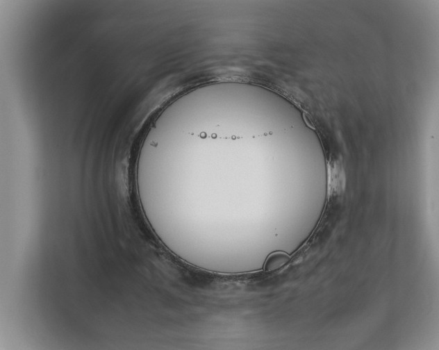 X0000111880291200908061319