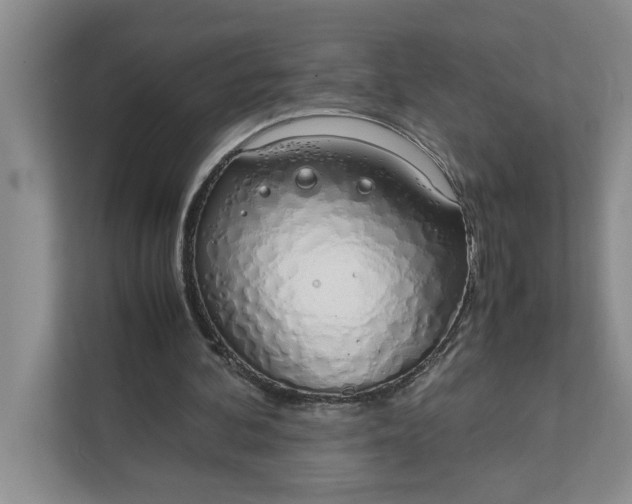 X0000111880292200908061319