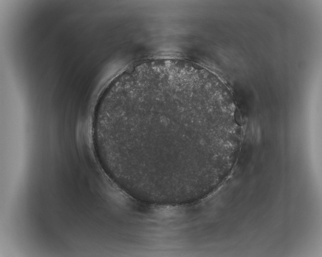 X0000111880293200908061319