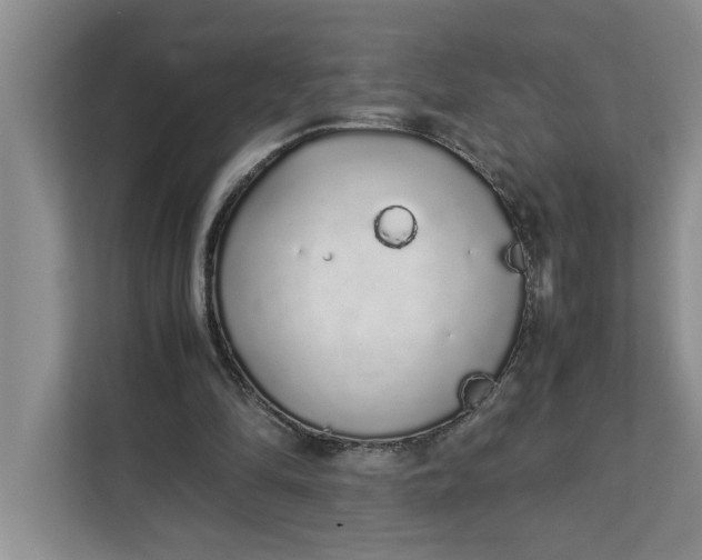 X0000111880294200908061319