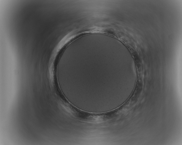 X0000111880295200908061319