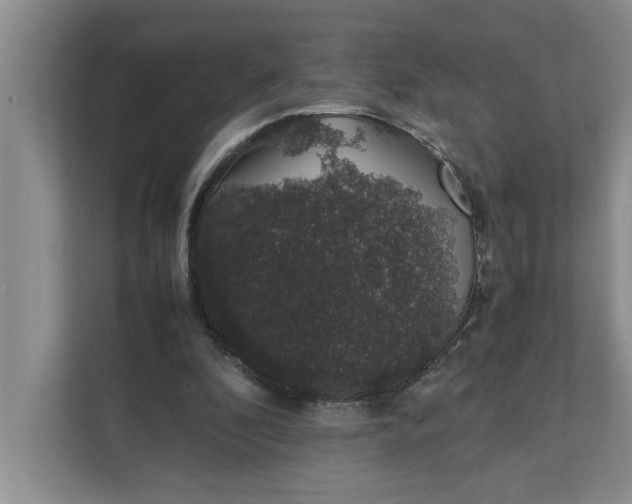 X0000111880296200908061319