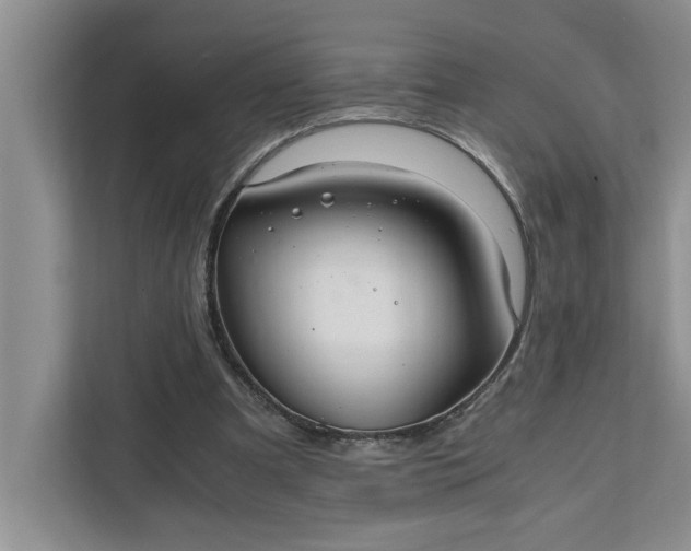 X0000111880297200908061319