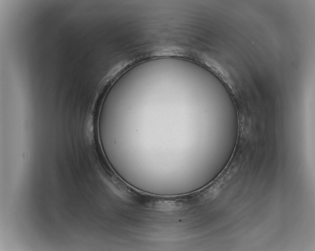 X0000111880298200908061319