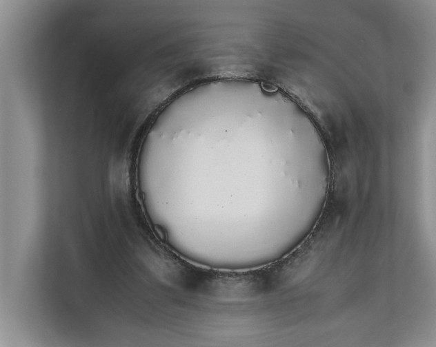 X0000111880299200908061319