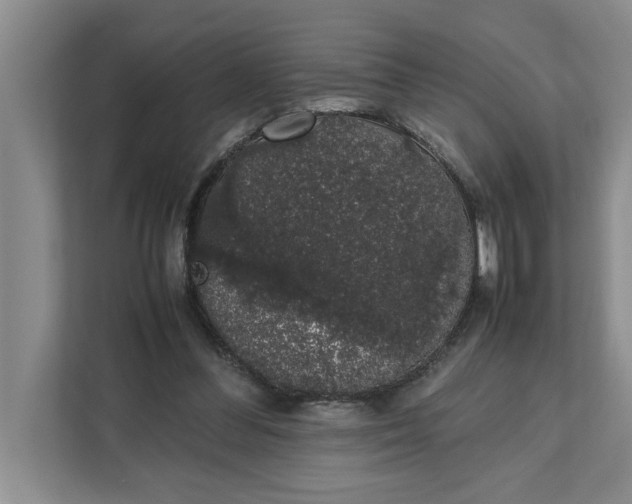 X0000111880300200908061319